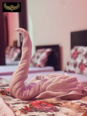 Comfort Sphinx & Pyramids Inn22